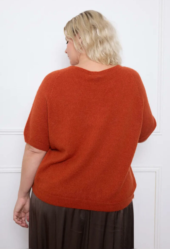 Pull mache 3/4 – Image 3