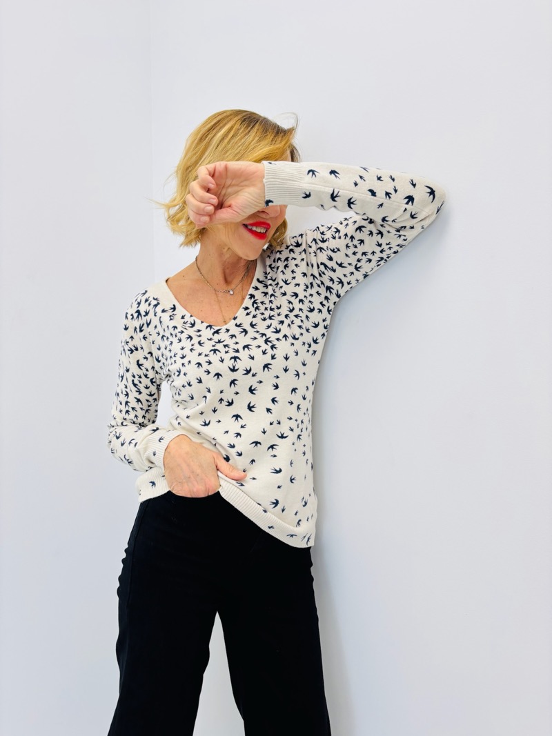 IMG_6671 Pull Fin Motifs Hirondelles – Douceur Viscose & Modal – Image 1